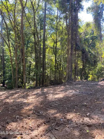 $110,500 | O Bluff Road, Coldwater, MS 38618