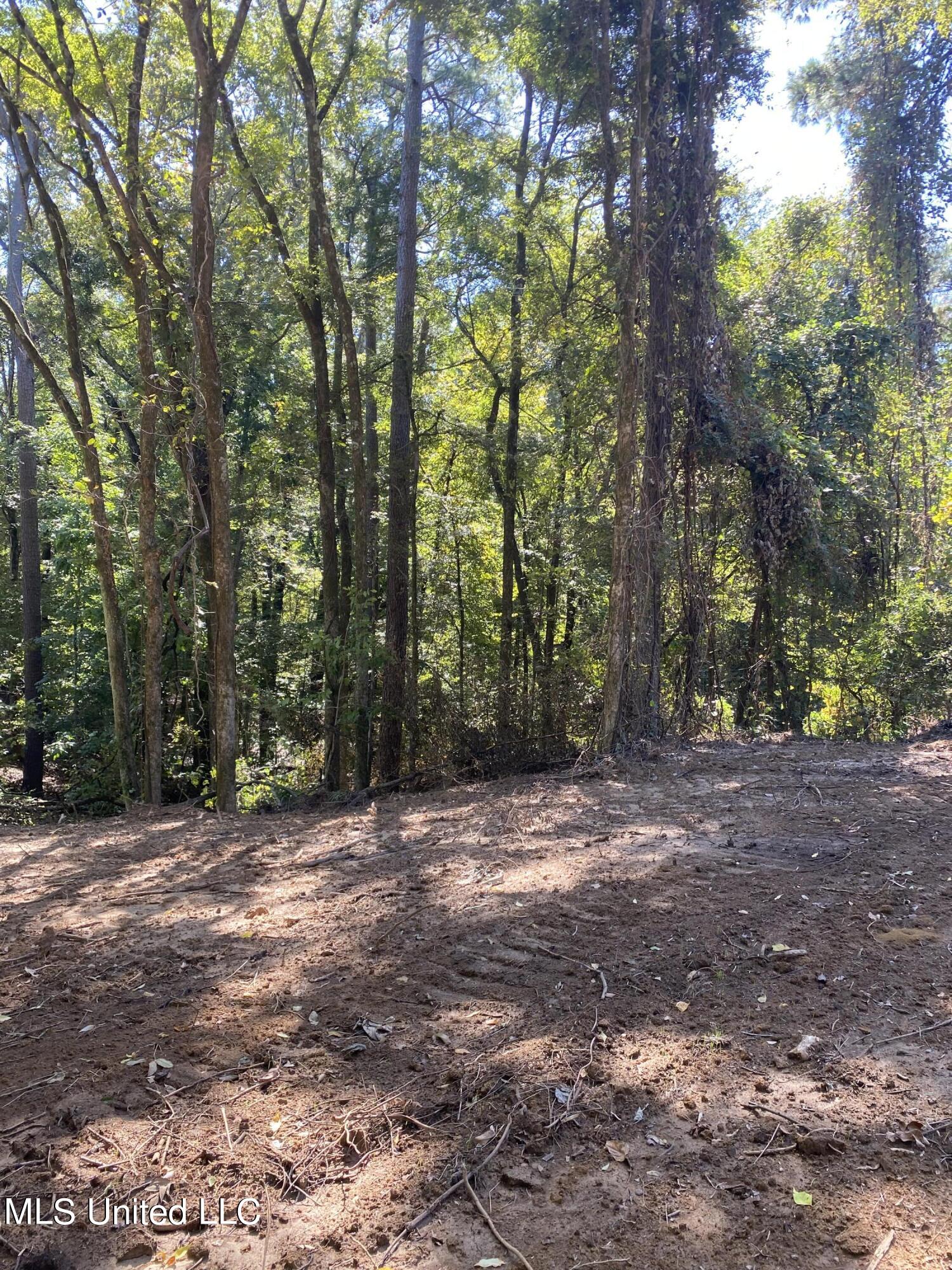 O Bluff Road Coldwater, MS 38618 - Photo 5 of 8 2024-10-02 11.57.59