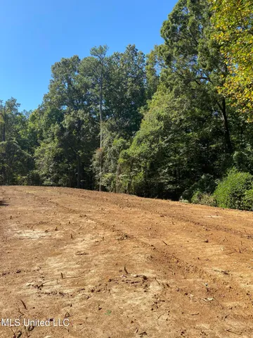$110,500 | O Bluff Road, Coldwater, MS 38618