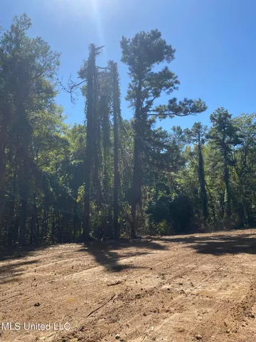 $110,500 | O Bluff Road, Coldwater, MS 38618