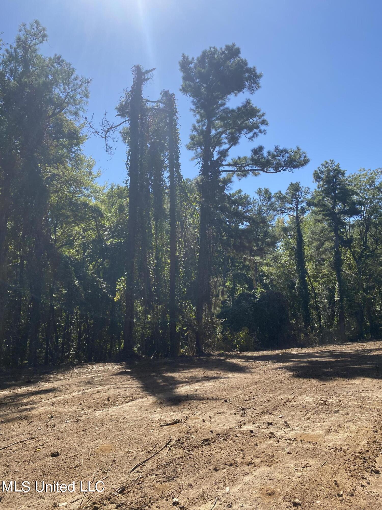 O Bluff Road Coldwater, MS 38618 - Photo 7 of 8 2024-10-02 11.58.39