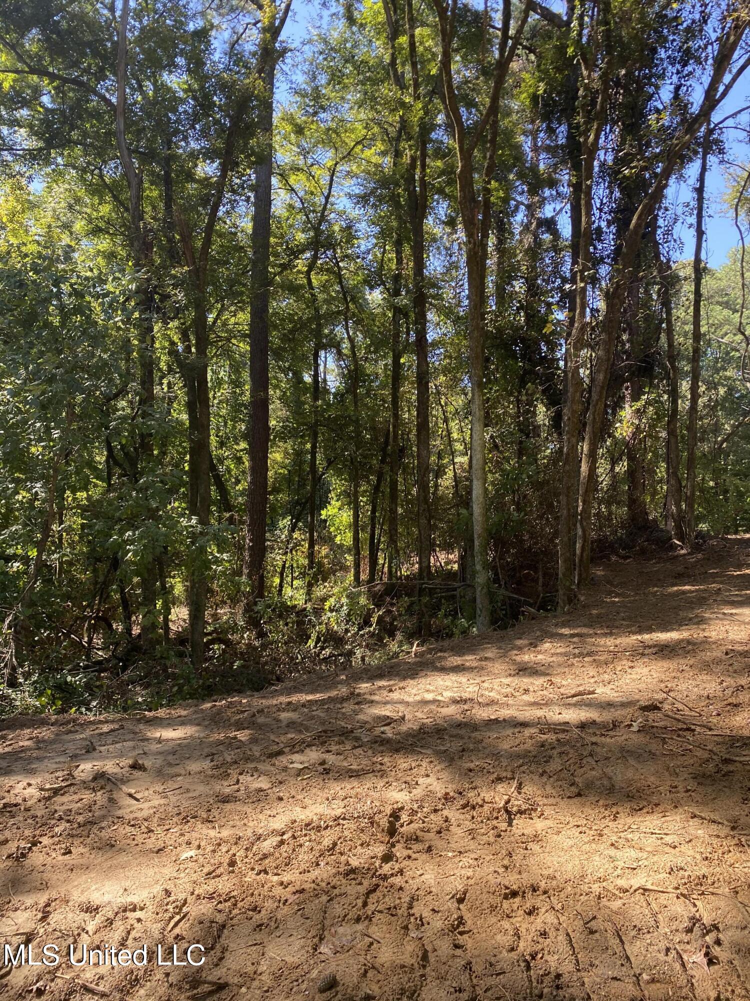 O Bluff Road Coldwater, MS 38618 - Photo 8 of 8 2024-10-02 11.59.32