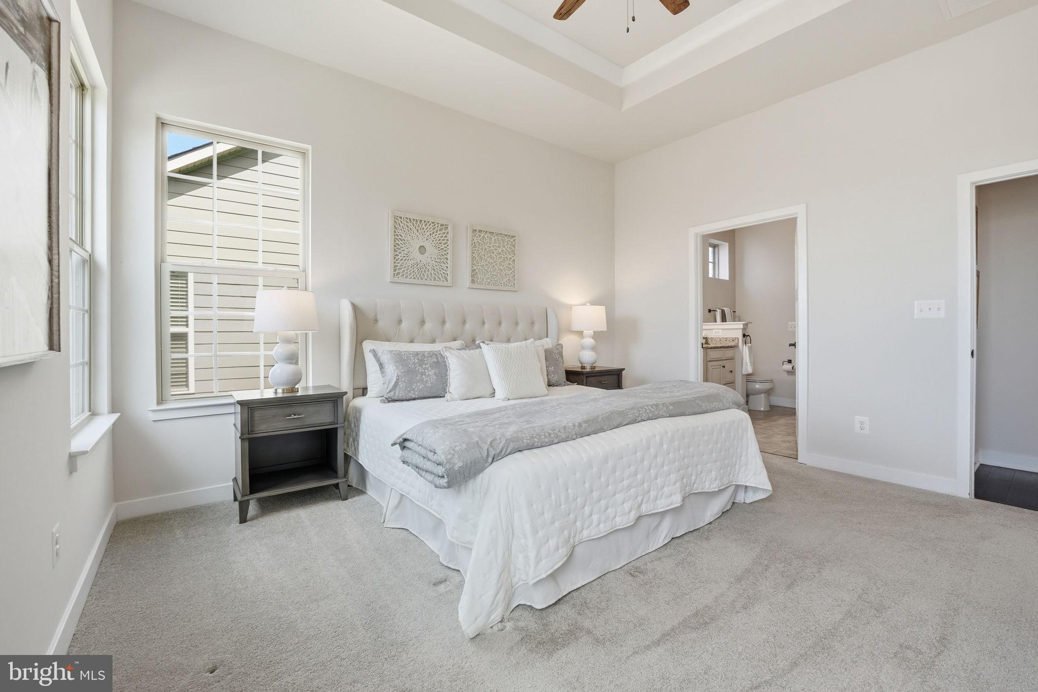 2252 Red Pine Loop Dumfries, VA 22026 - Photo 20 of 87 Ceiling fan and