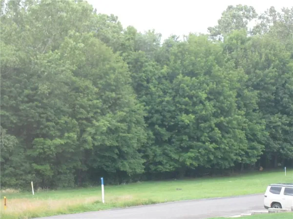 a view of a yard