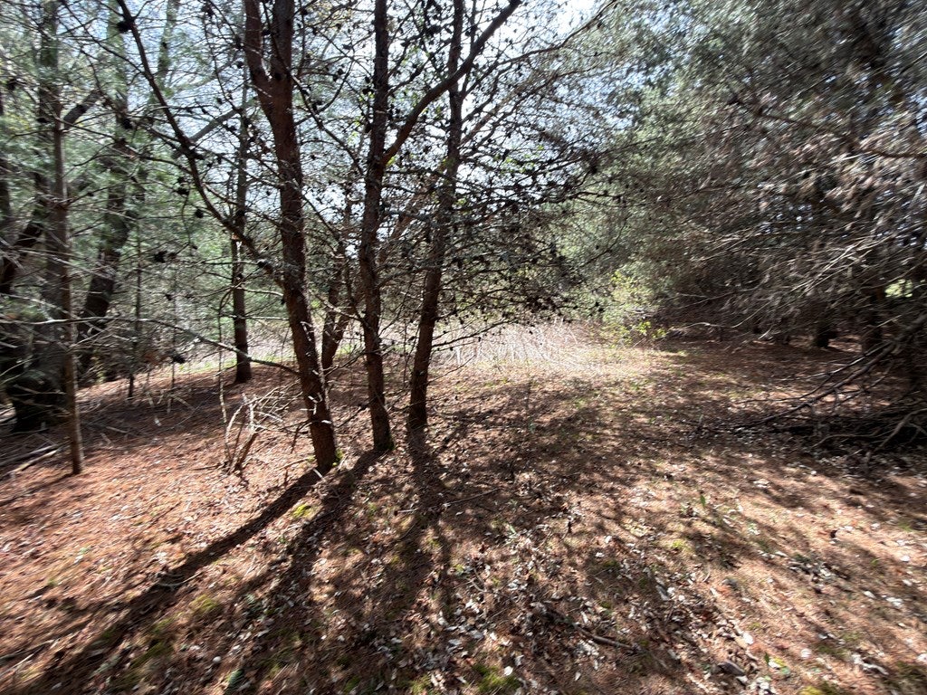 Tbd Pine Branch Road, Unit 7 & 8 Laurel Fork, VA 24352 - Photo 13 of 25 Gallery Image 13