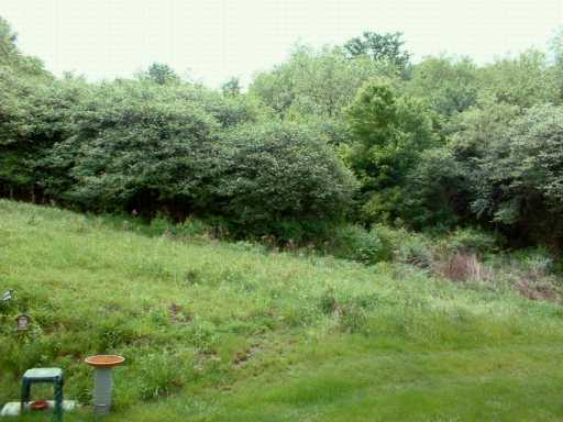 459 Georgetown Court Seven Fields, PA 16046 - Photo 8 of 8