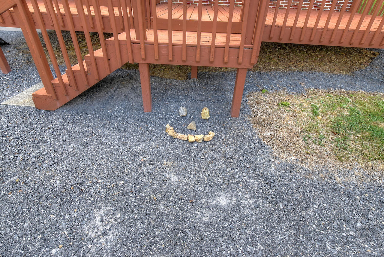 335 Lucy Road Kingsport, TN 37660 - Photo 41 of 41 SMILE!