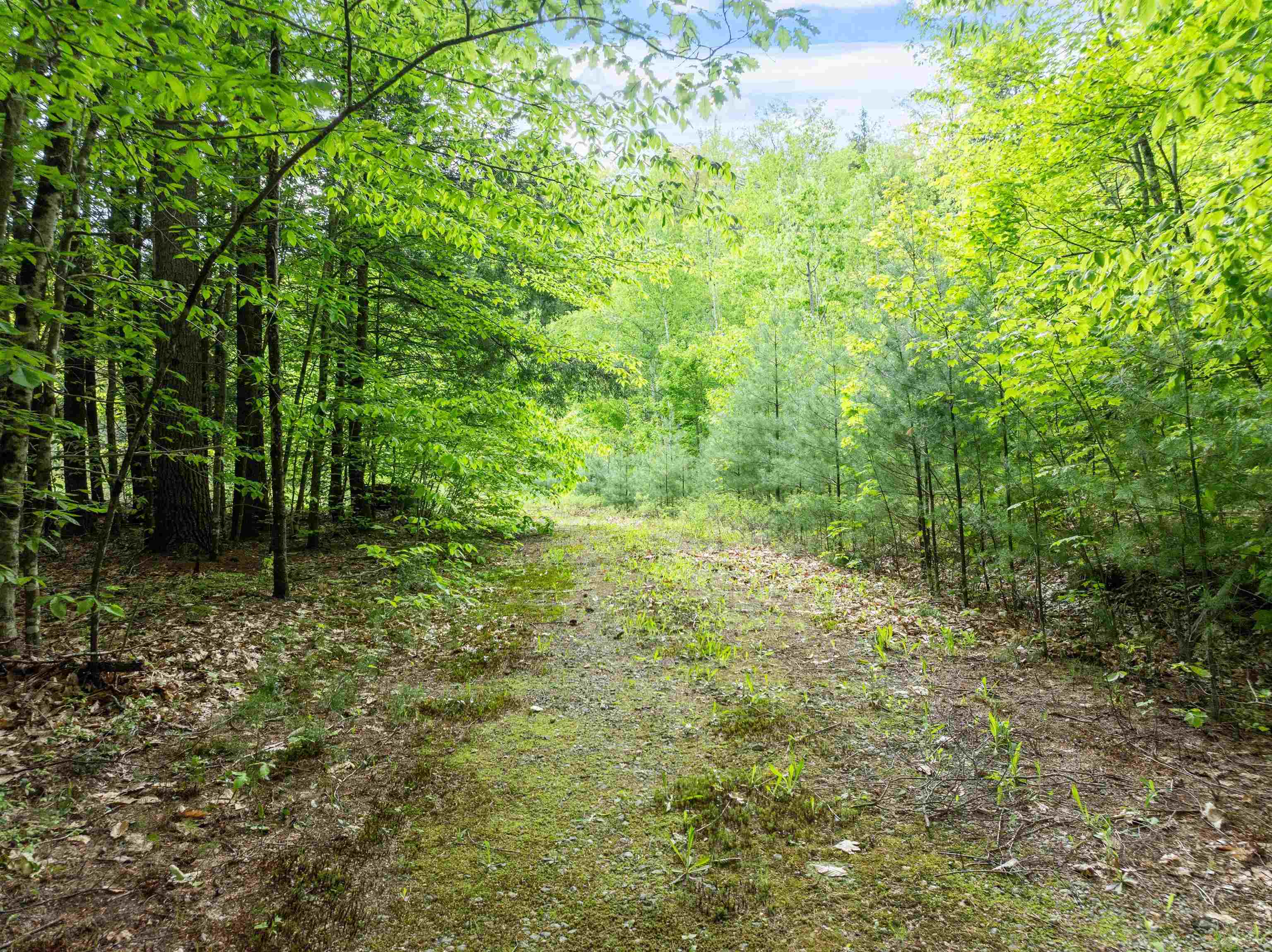 1482 River Road Plymouth, NH 03264 - Photo 5 of 35