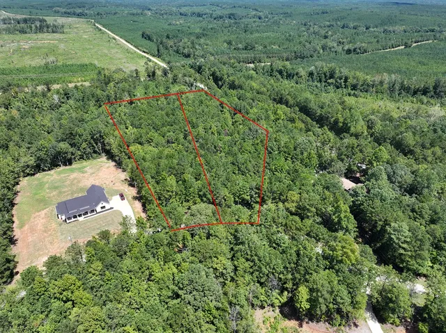 $40,000 | Lot 63 Spring Trail Road, Box Springs, GA 31801