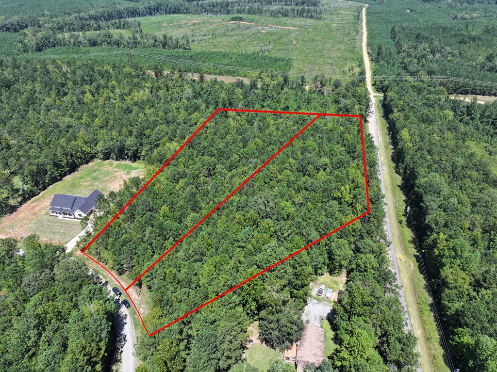Lot 63 Spring Trail Road Box Springs, GA 31801 - Photo 6 of 12