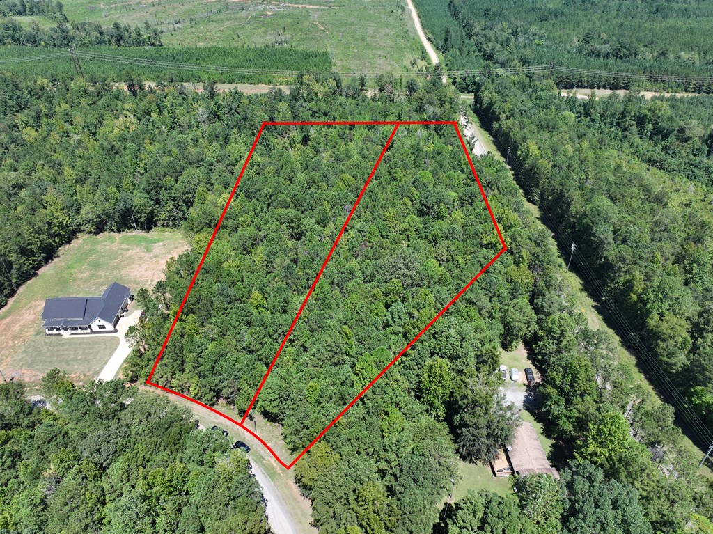 Lot 63 Spring Trail Road Box Springs, GA 31801 - Photo 7 of 12 an aerial view of green landscape with trees houses and green space