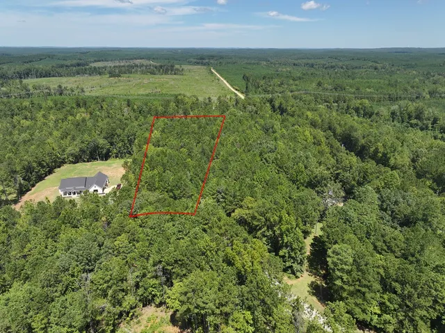an aerial view of residential house with outdoor space and trees all around