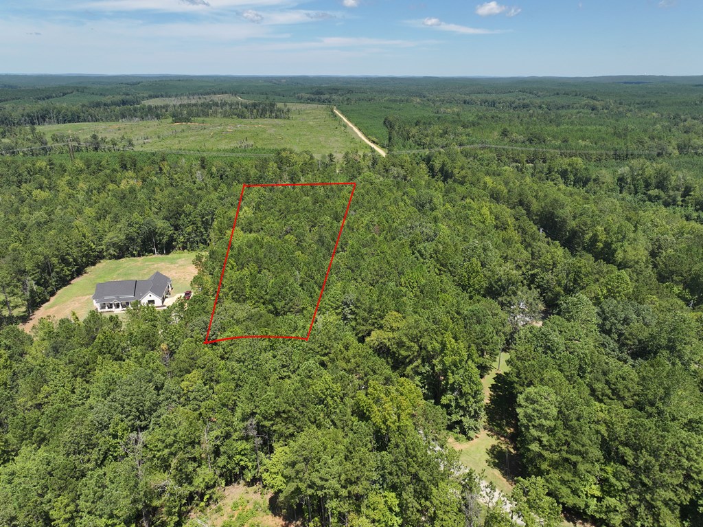 Lot 63 Spring Trail Road Box Springs, GA 31801 - Photo 8 of 12 a view of outdoor space and mountain view