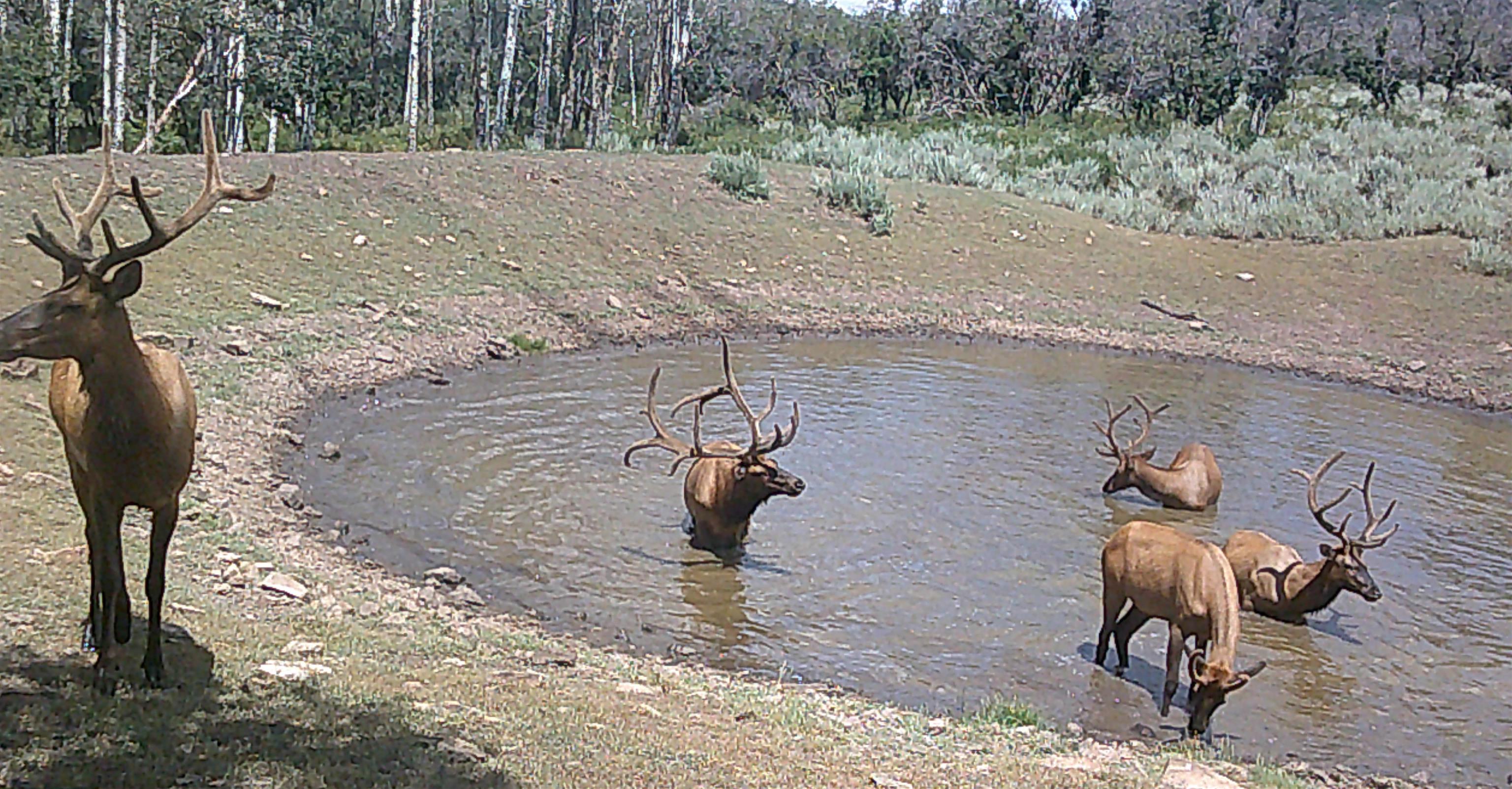 Tbd Tbd Ms Road Glade Park, CO 81523 - Photo 18 of 20