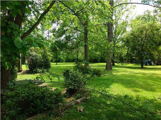 6400 Manship Road Brandon, MS 39047 - Photo 11 of 13 Photo 11
