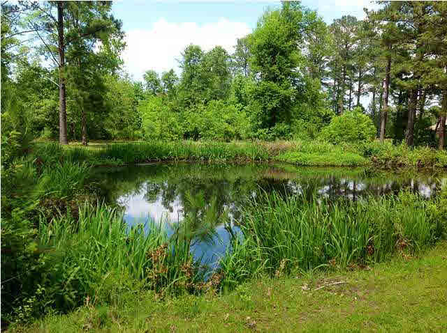 6400 Manship Road Brandon, MS 39047 - Photo 13 of 13 Photo 13