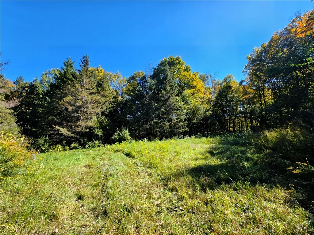 2385 Potter Road Greenwood, NY 14839 - Photo 43 of 50 Gallery Image 43