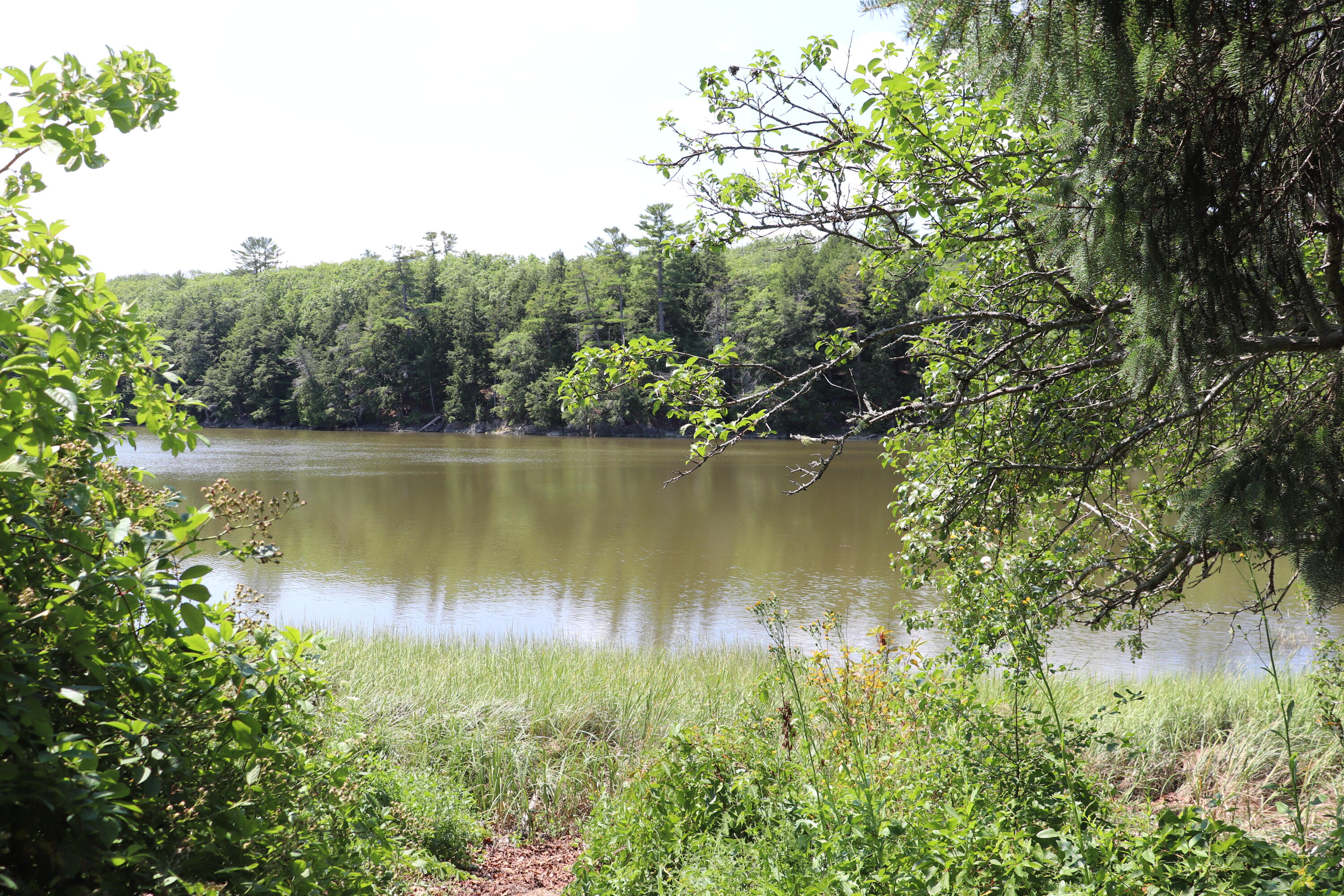 31 Fish Point Road Orland, ME 04472 - Photo 12 of 53 13