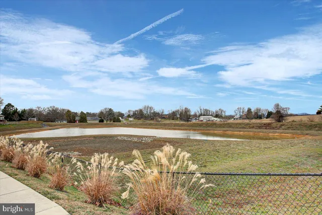 a view of an ocean and beach