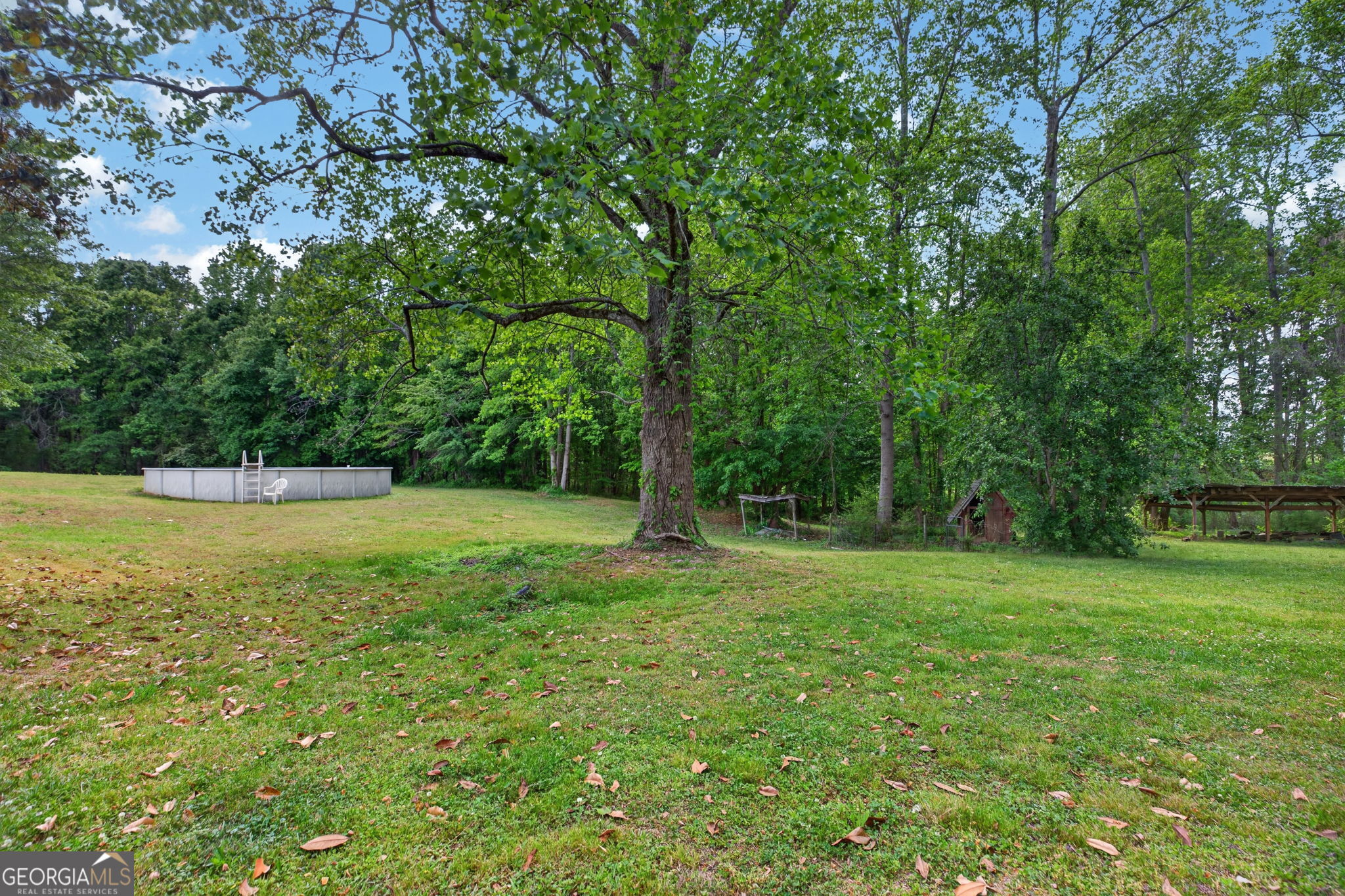 1861 Highway 100 Bowdon, GA 30108 - Photo 31 of 35 a view of a field with a tree