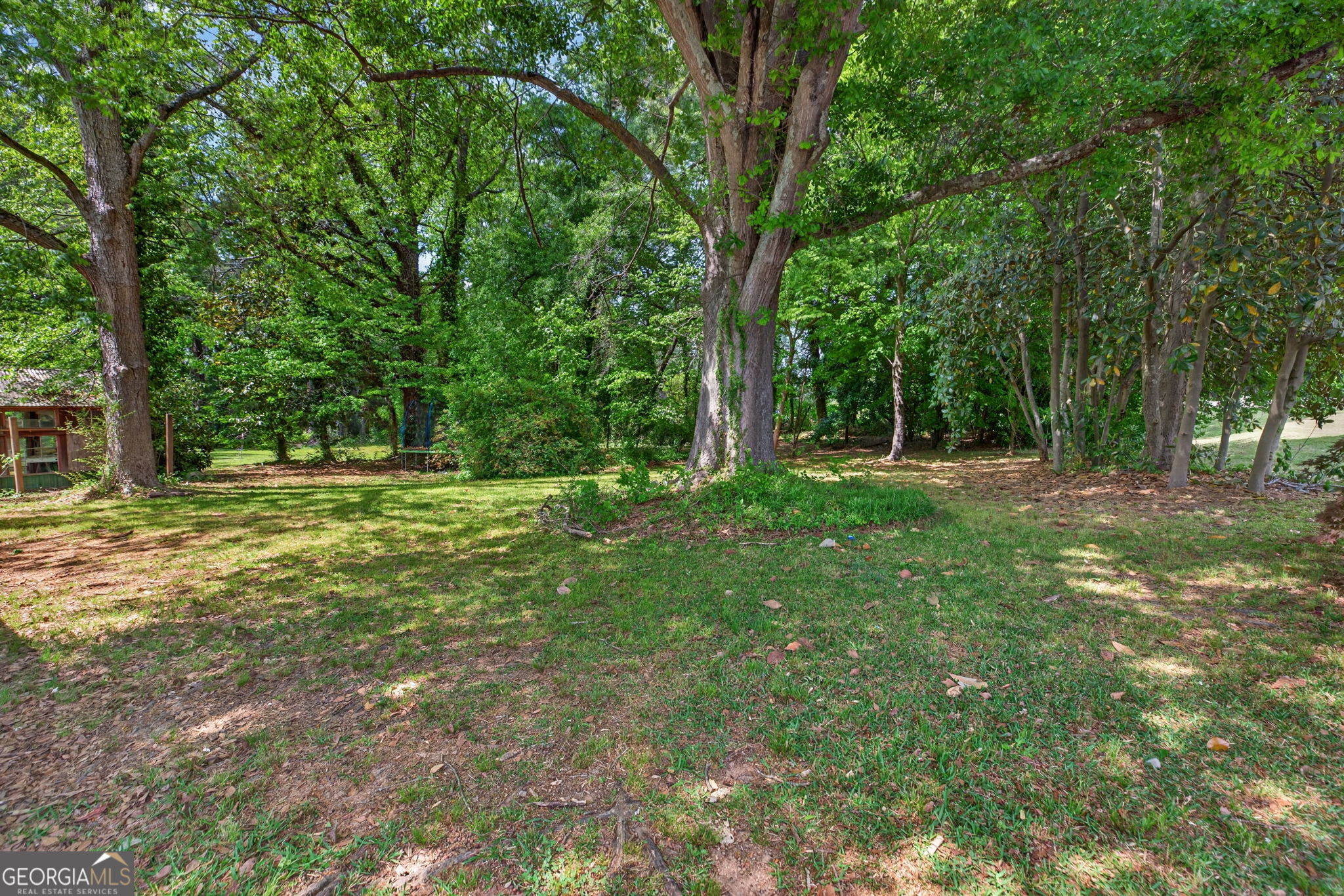 1861 Highway 100 Bowdon, GA 30108 - Photo 33 of 35 a view of outdoor space with trees all around