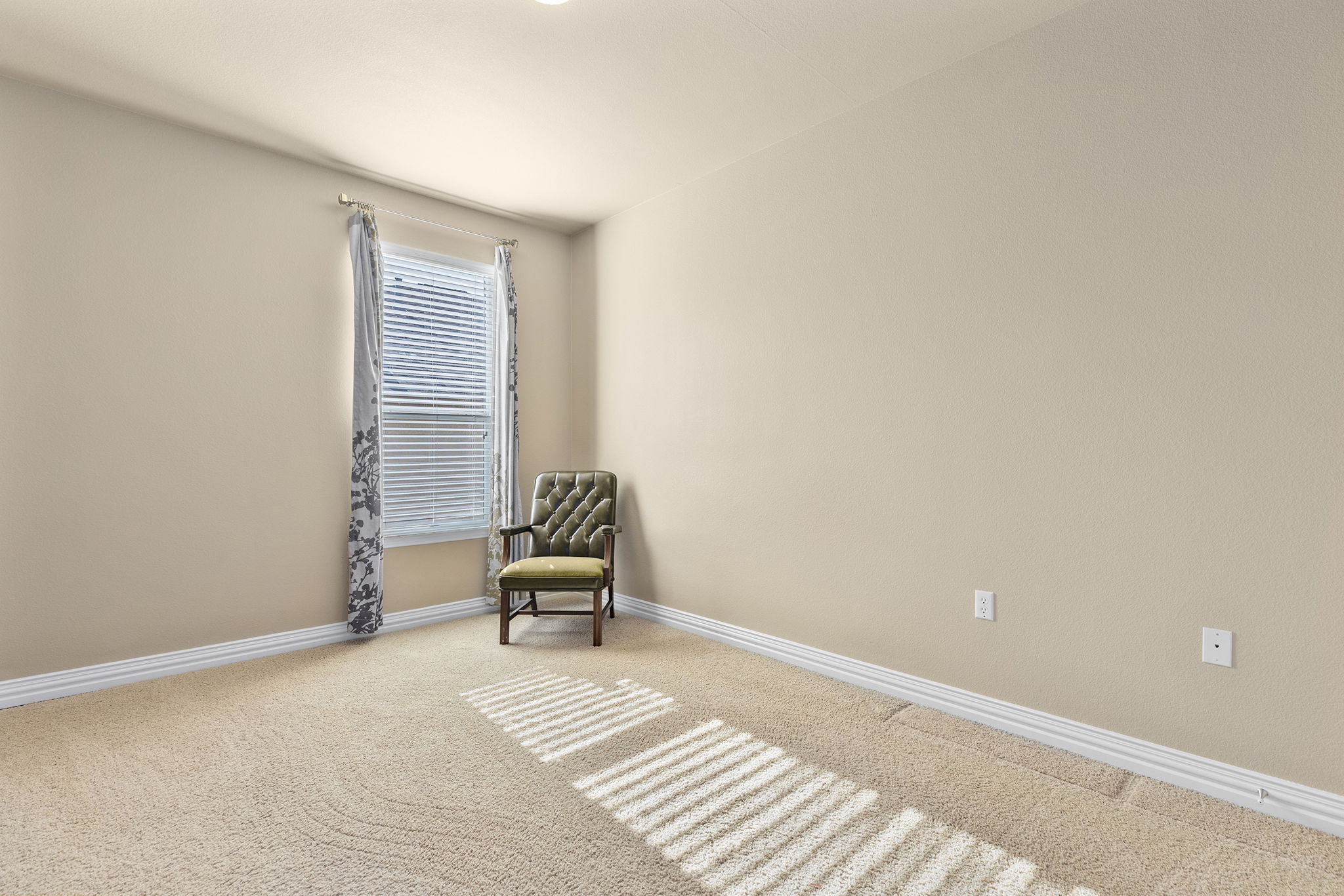 110 Emory Peak Trail Georgetown, TX 78633 - Photo 29 of 39 Living area featuring baseboards and carpet floors