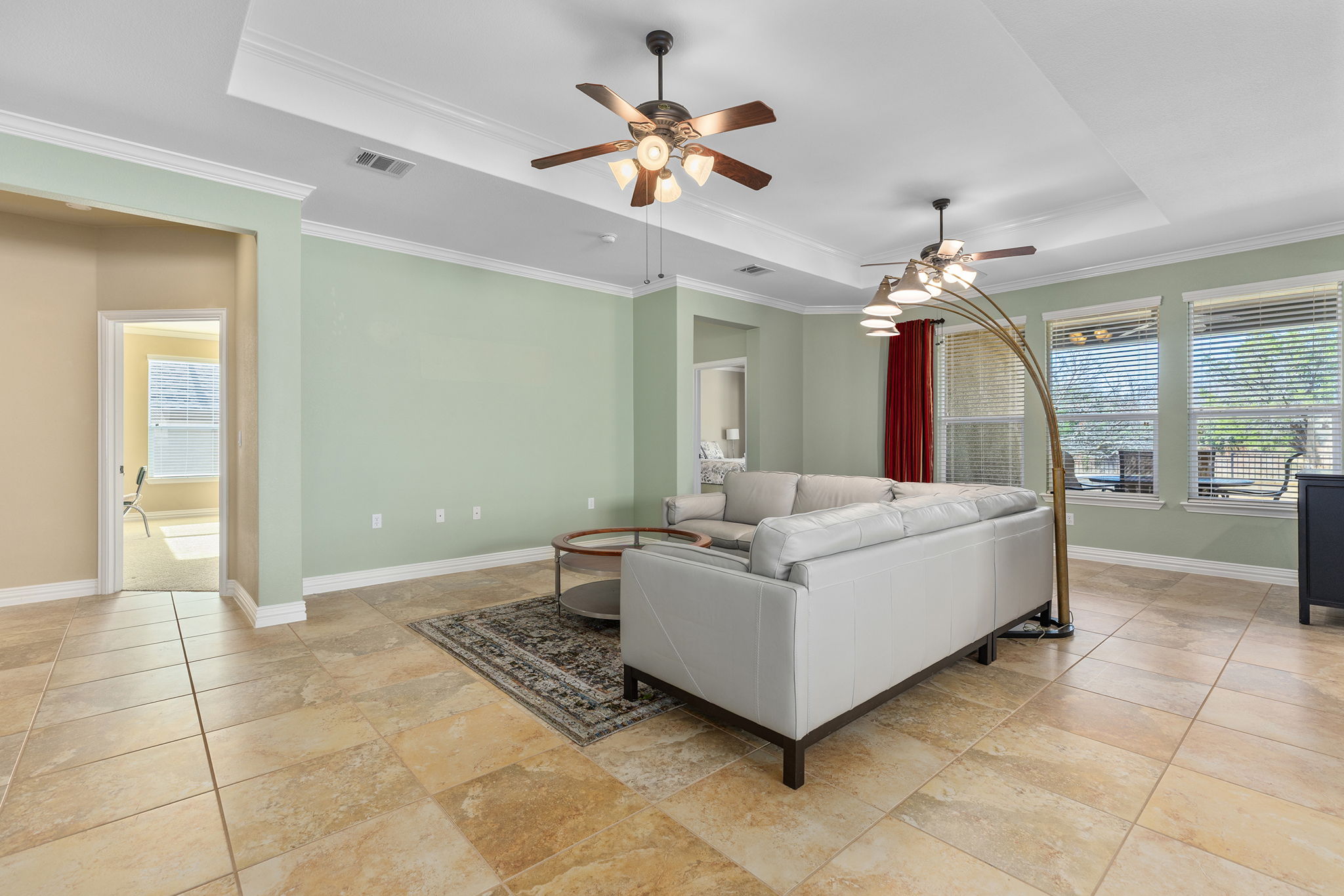 110 Emory Peak Trail Georgetown, TX 78633 - Photo 10 of 39 Living room featuring a tray ceiling, ceiling fan, and ornamental molding