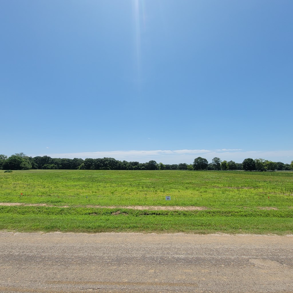 Lot 11 County Road 9 Newton, AL 36352 - Photo 7 of 12