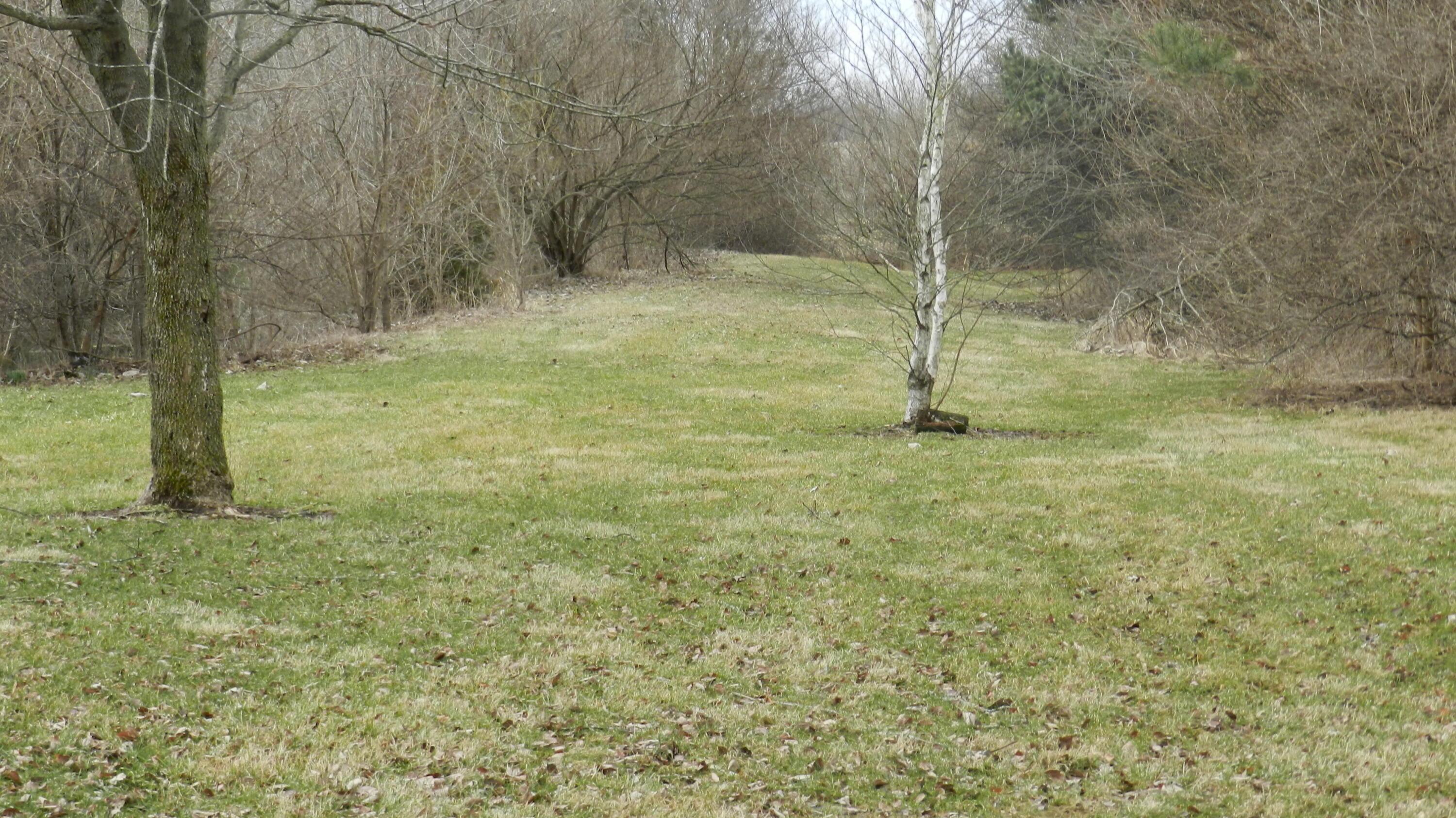 2595 Smeltzer Road Marion, OH 43302 - Photo 25 of 65 DSCN5174