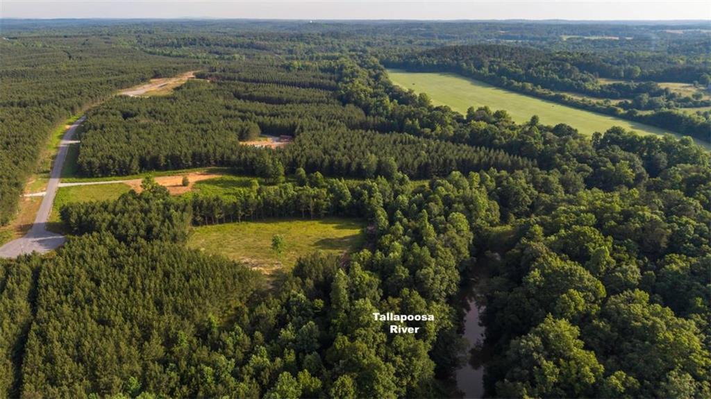 435 Steadman Road Tallapoosa, GA 30176 - Photo 4 of 6