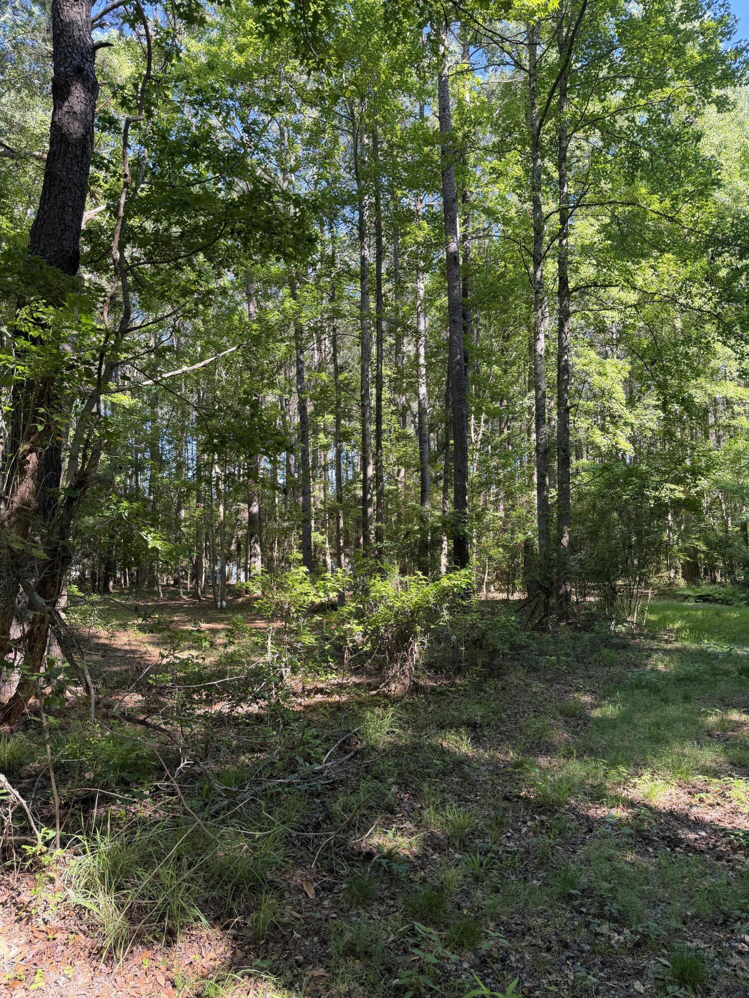 3125 State Road Ridgeville, SC 29472 - Photo 11 of 18 IMG_0954