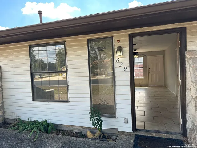 a potted plant in front of a door