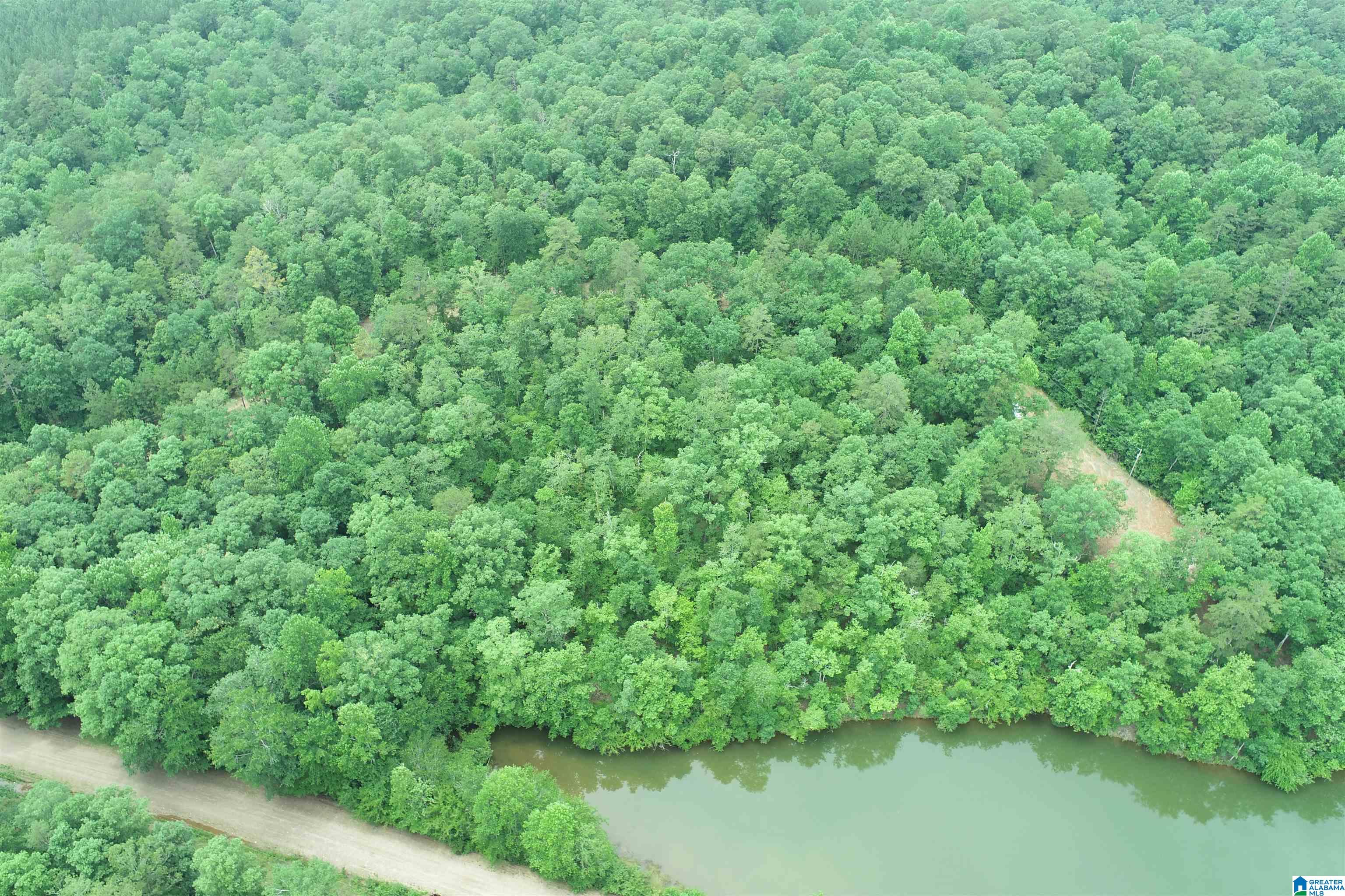 0 County Road 803, Unit 33 Wedowee, AL 36278 - Photo 7 of 14