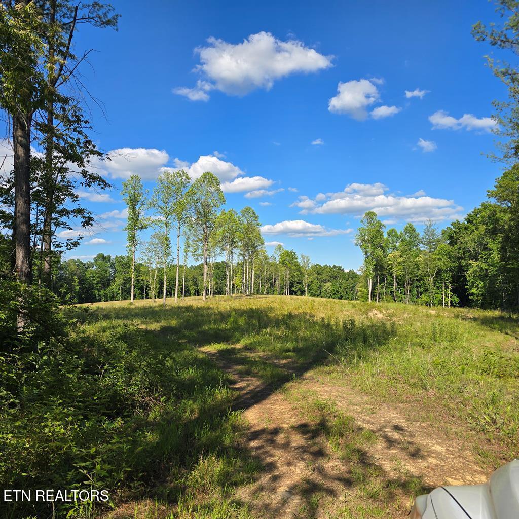 94.4-ac Red Hill Road Sunbright, TN 37872 - Photo 1 of 1 245614_0