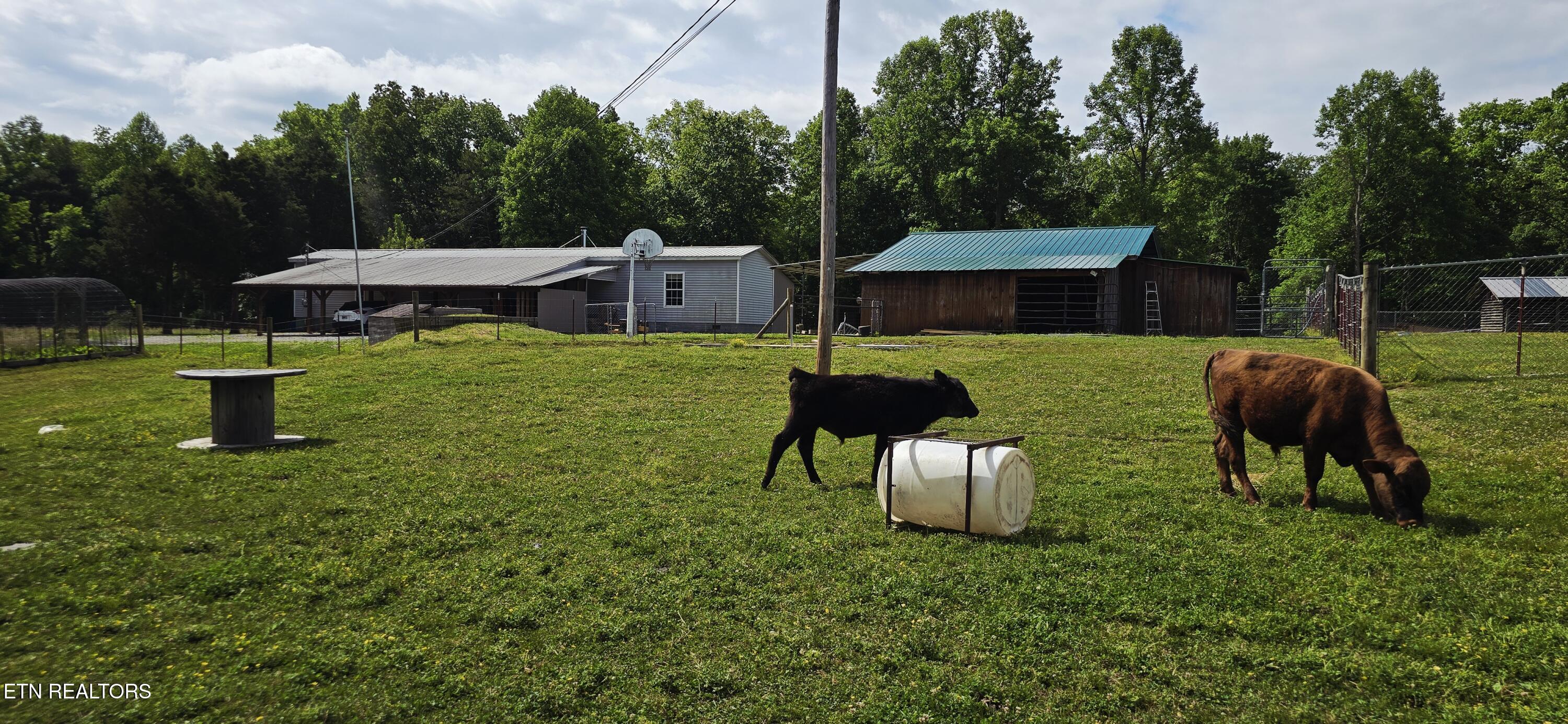 204 Honey Creek Loop Road Allardt, TN 38504 - Photo 37 of 59 20260509_095221