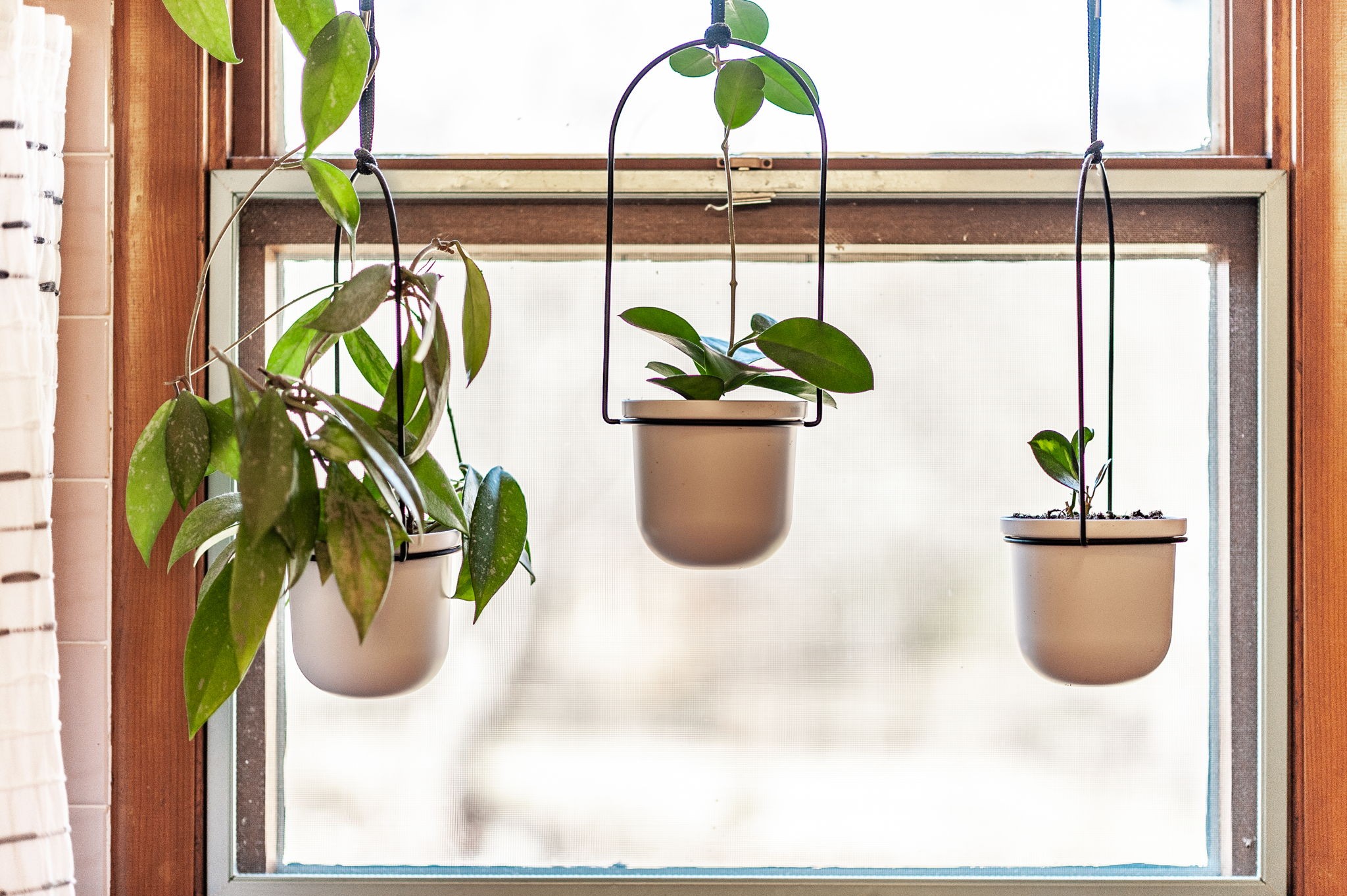 705 Ronnie Road Madison, TN 37115 - Photo 34 of 65