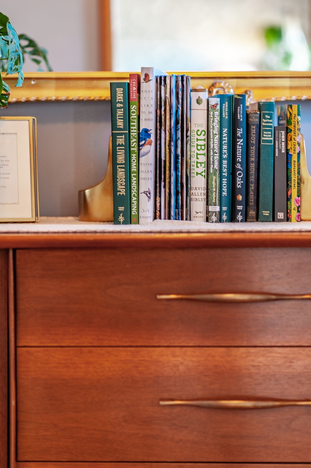 705 Ronnie Road Madison, TN 37115 - Photo 5 of 65 a view of a living room and window