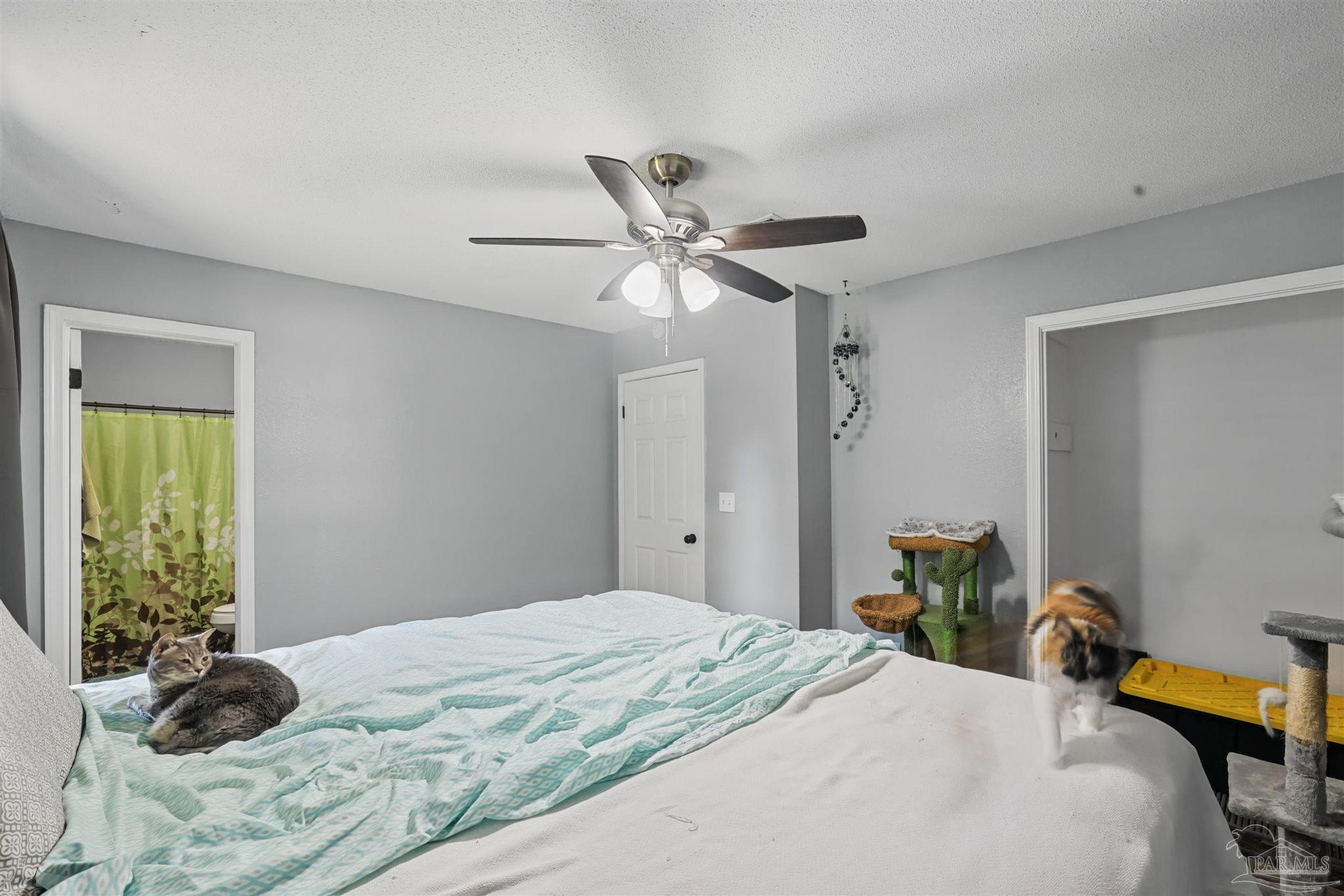 833 Graham Road Cantonment, FL 32533 - Photo 31 of 53 Gallery Image 31