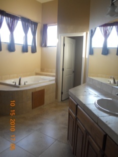 280 South Mountain View Road Apache Junction, AZ 85119 - Photo 3 of 9 master bathroom