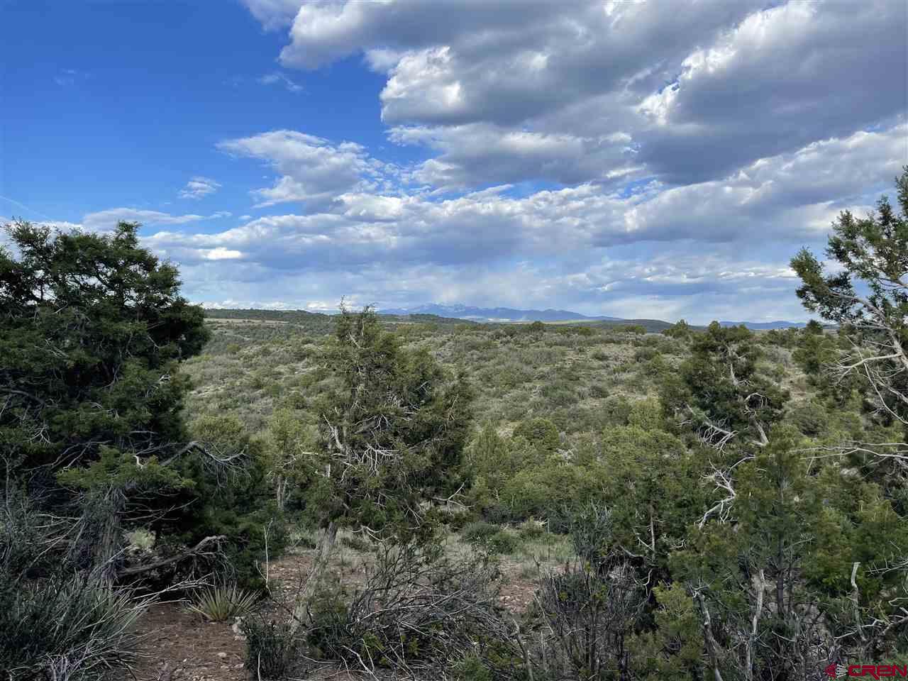 27485 Rd U.6 Dolores, CO 81323 - Photo 11 of 23 Gallery Image 11