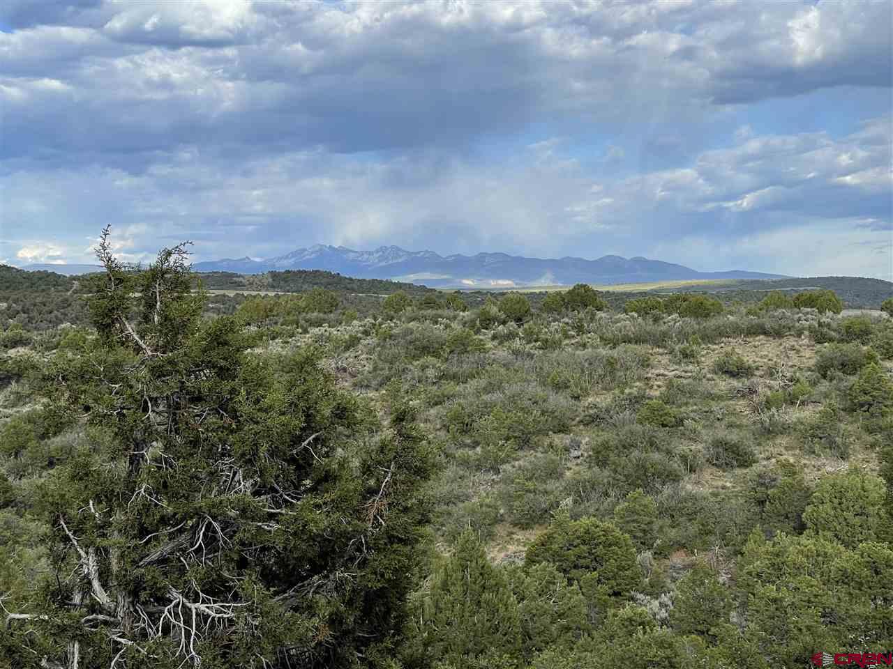 27485 Rd U.6 Dolores, CO 81323 - Photo 12 of 23 Gallery Image 12