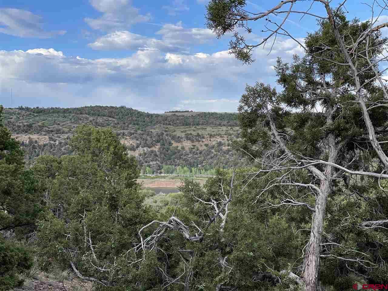 27485 Rd U.6 Dolores, CO 81323 - Photo 4 of 23 Gallery Image 4