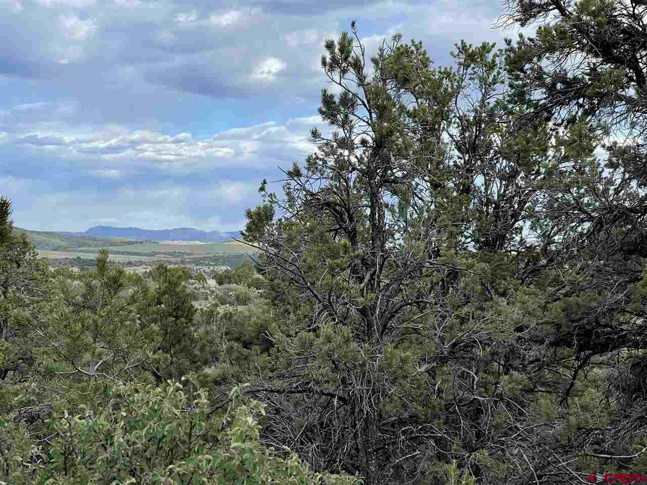 27485 Rd U.6 Dolores, CO 81323 - Photo 6 of 23 Gallery Image 6
