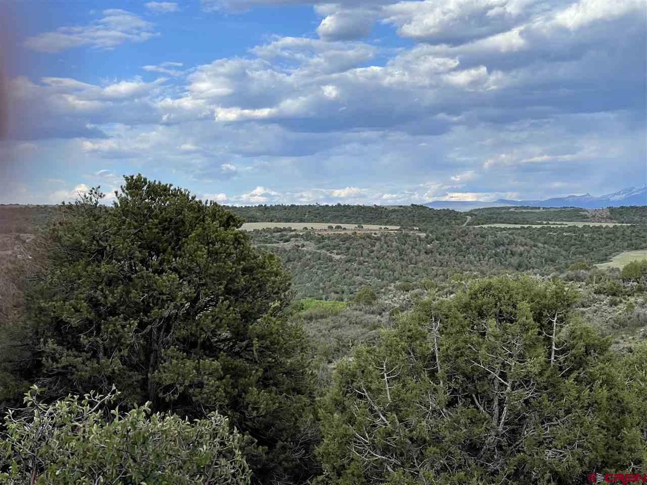 27485 Rd U.6 Dolores, CO 81323 - Photo 8 of 23 Gallery Image 8