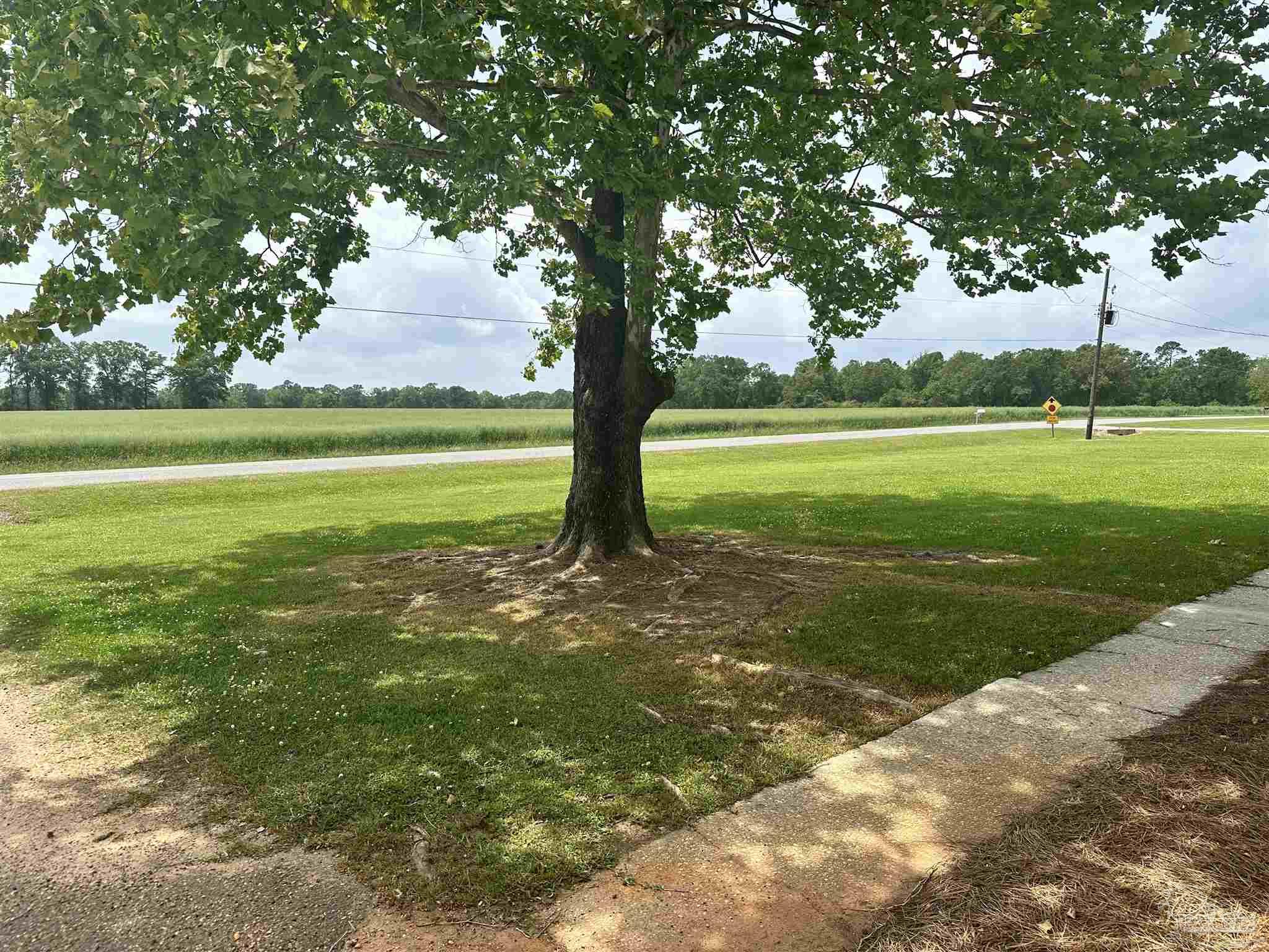 2409 Old Bratt Road Atmore, AL 36502 - Photo 4 of 50