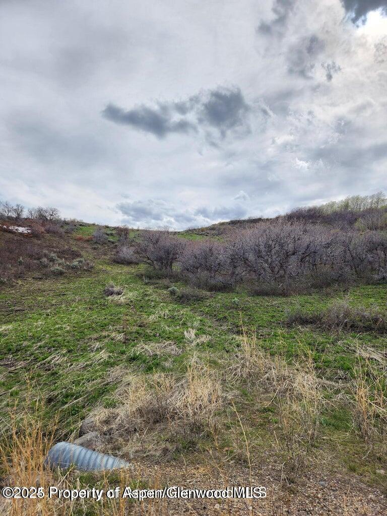 361 Sprout Drive Craig, CO 81625 - Photo 3 of 8 a view of a field of grass and trees