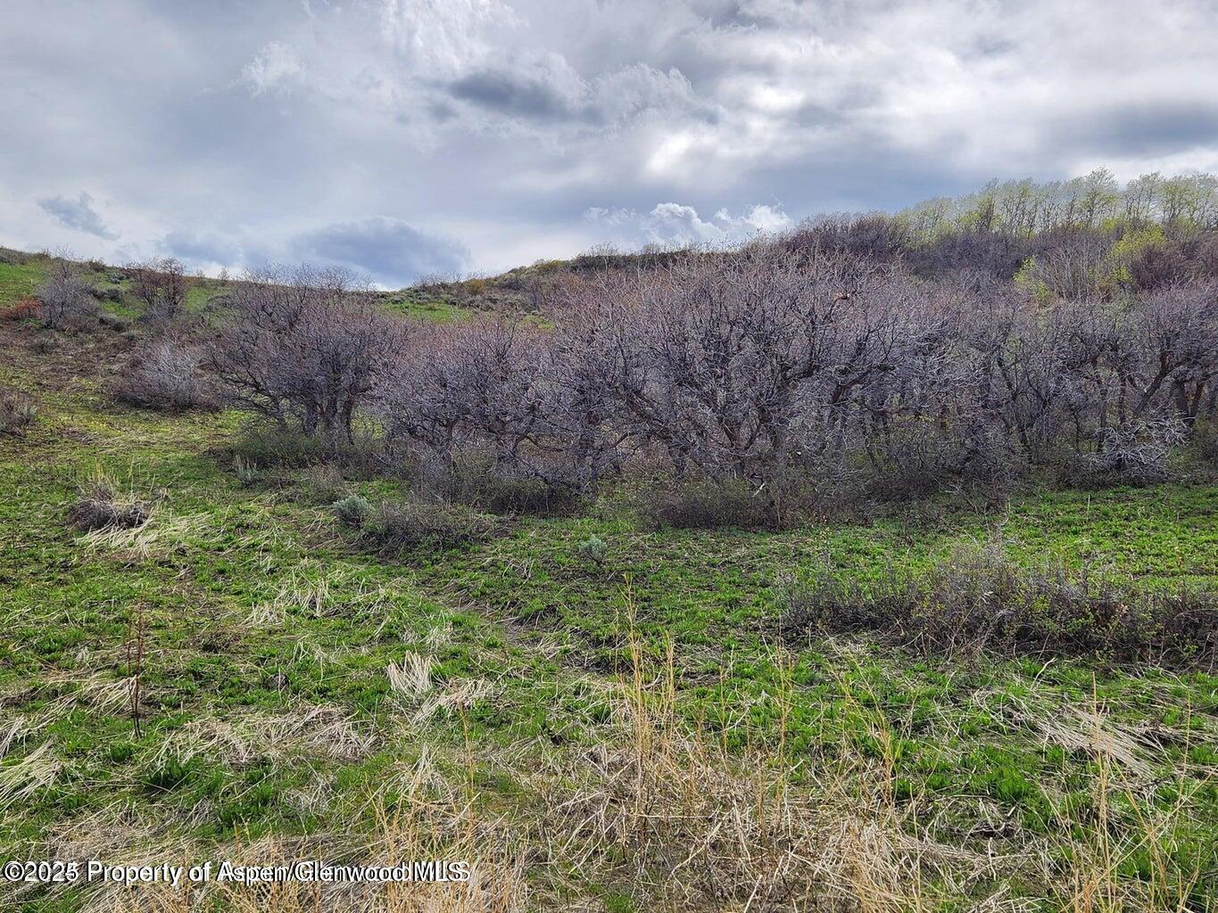 361 Sprout Drive Craig, CO 81625 - Photo 4 of 8 a view of a yard with an outdoor seating