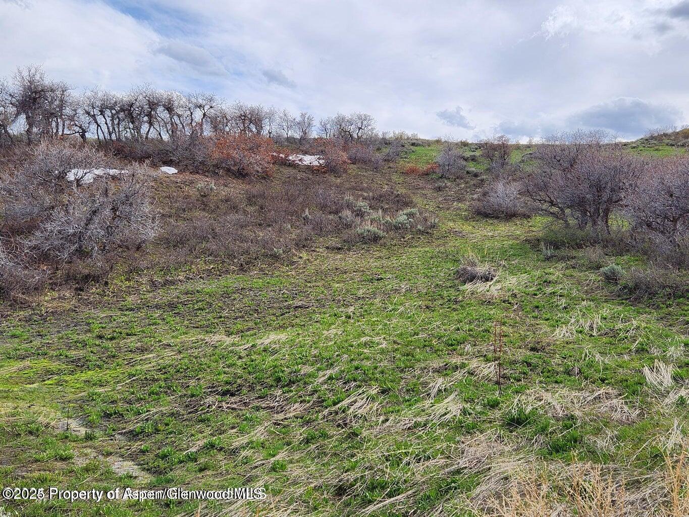 361 Sprout Drive Craig, CO 81625 - Photo 5 of 8 a view of a field