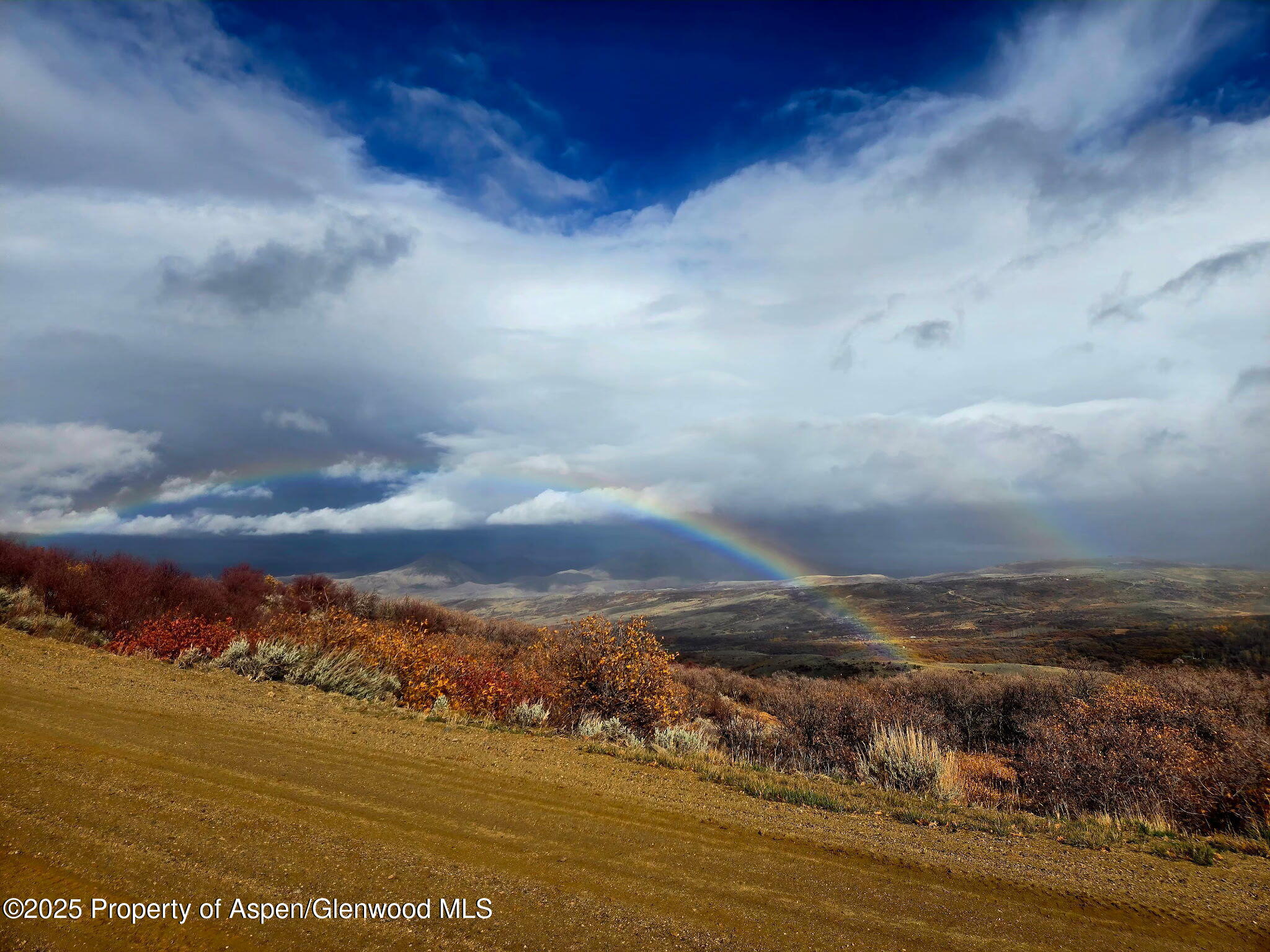 361 Sprout Drive Craig, CO 81625 - Photo 6 of 8