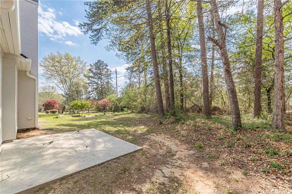 775 Southland Pass Stone Mountain, GA 30087 - Photo 56 of 76 a view of a yard with large trees